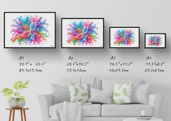 dream watercolour alpha synuclein protein print size comparison