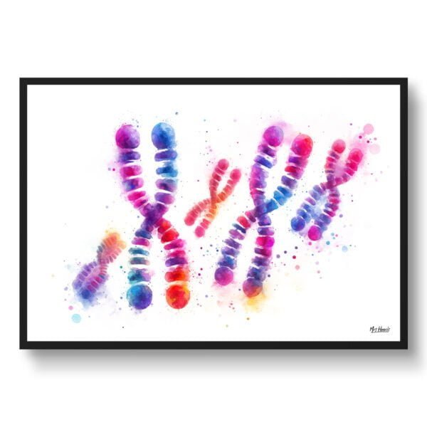 dream watercolour chromosomes front view