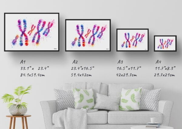 dream watercolour chromosomes print size comparison