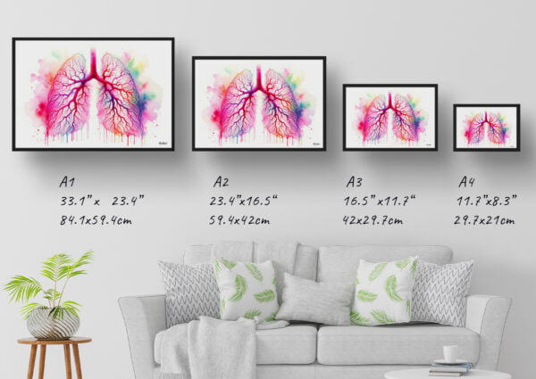 dream watercolour pulmonary angiogram print size comparison