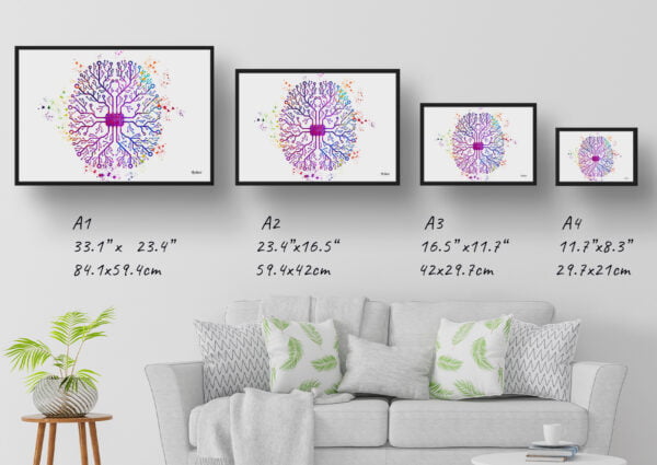 medical splash digital brain print size comparison