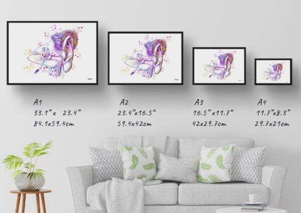 medical splash ear print size comparison