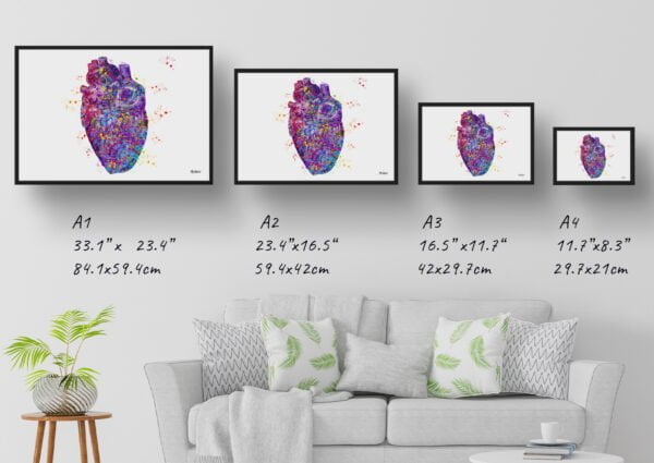 medical splash heart print size comparison