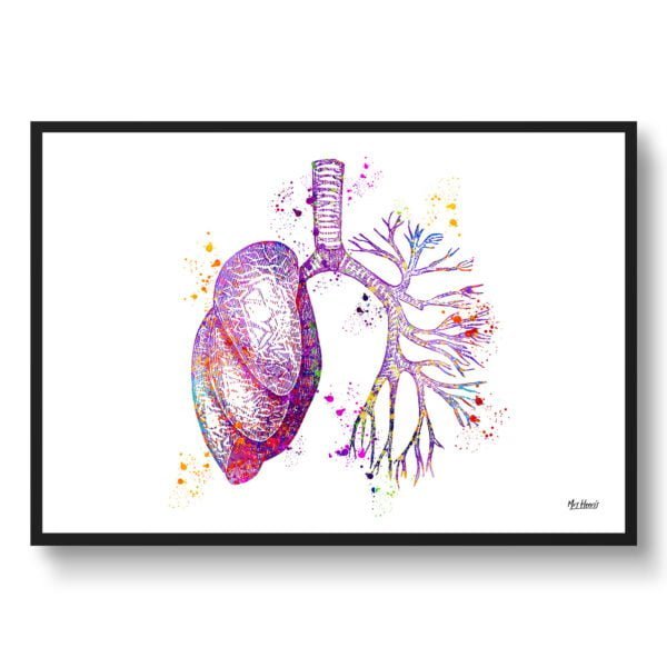 medical splash lungs front view