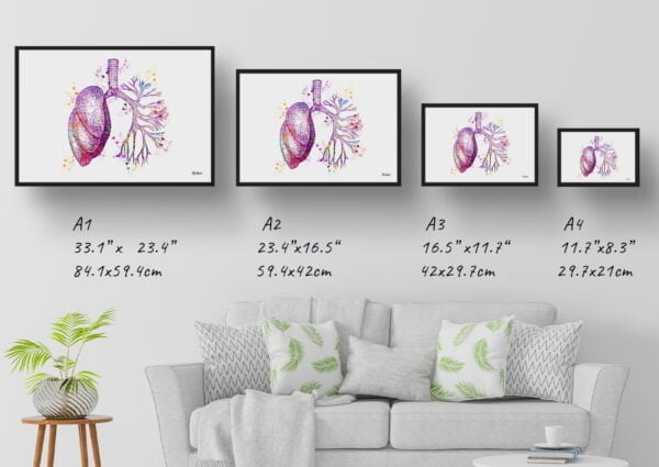 medical splash lungs print size comparison