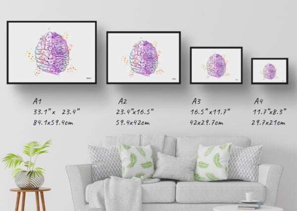 medical splash mechanical brain print size comparison