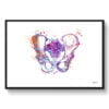 medical splash pelvis hip front view