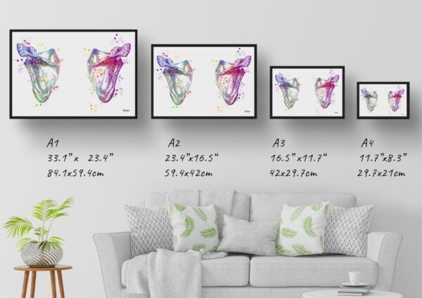 medical splash scapula shoulder blade print size comparison