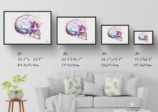 medical splash skull print size comparison