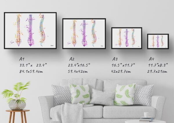 medical splash spine print size comparison