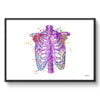 medical splash thorax front view