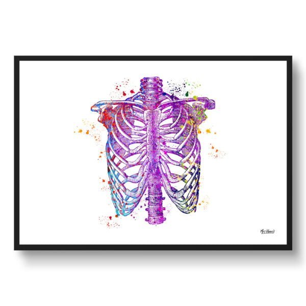 medical splash thorax front view