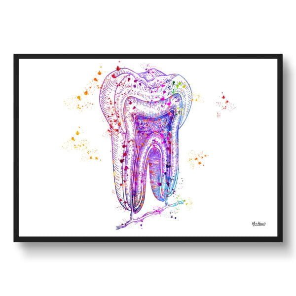 medical splash tooth structure front view