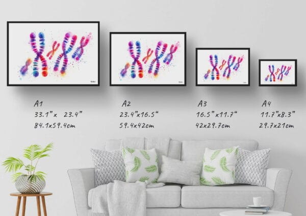 dream watercolour chromosomes print size comparison