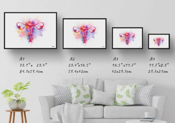 dream watercolour female reproductive system print size comparison 1