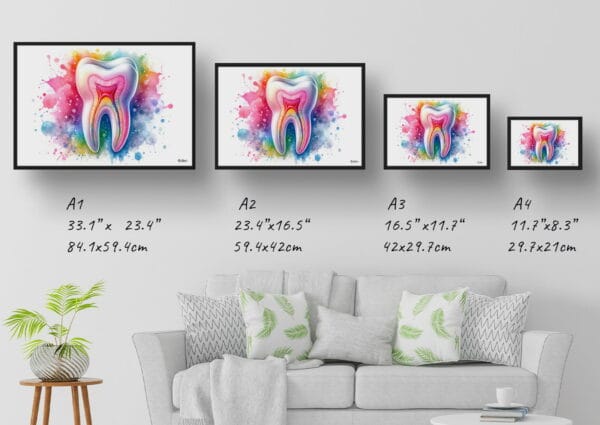 dream watercolour molar anatomy print size comparison 1