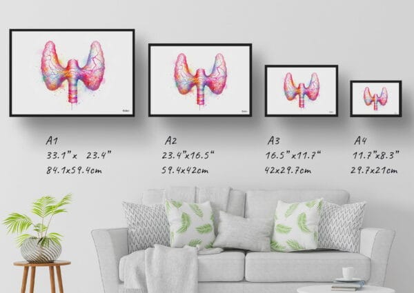 dream watercolour thyroid gland print size comparison 1