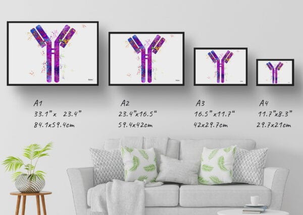 medical splash antibodies print size comparison