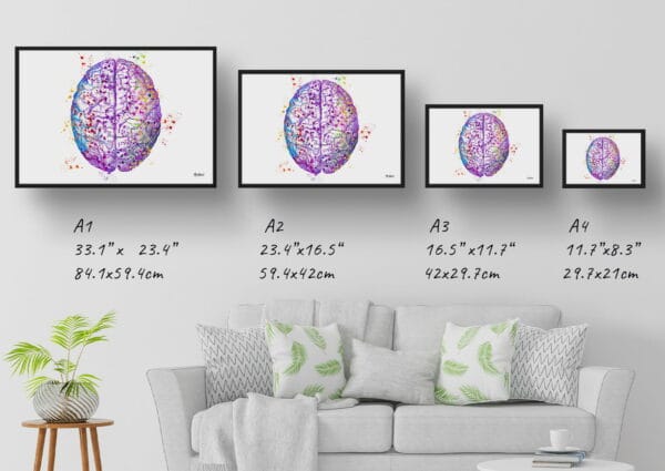 medical splash brain top print size comparison