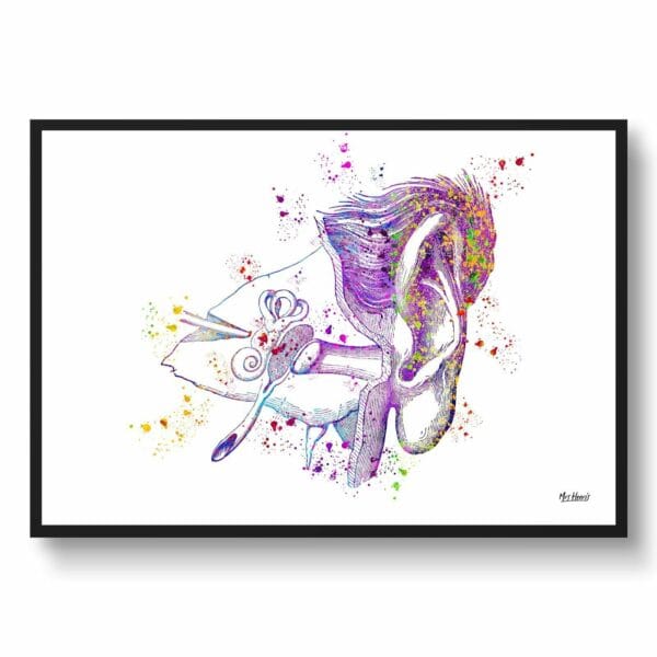 medical splash ear front view