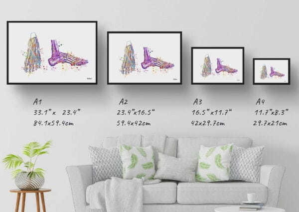 medical splash feet print size comparison