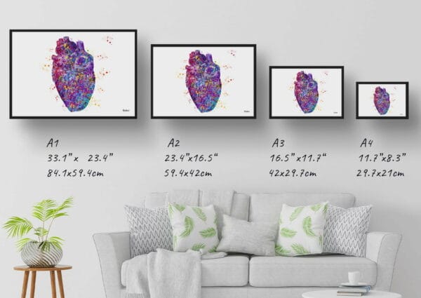 medical splash heart print size comparison