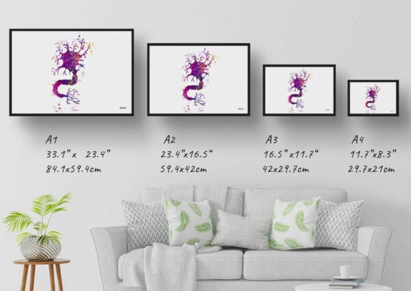 medical splash nerve cell print size comparison