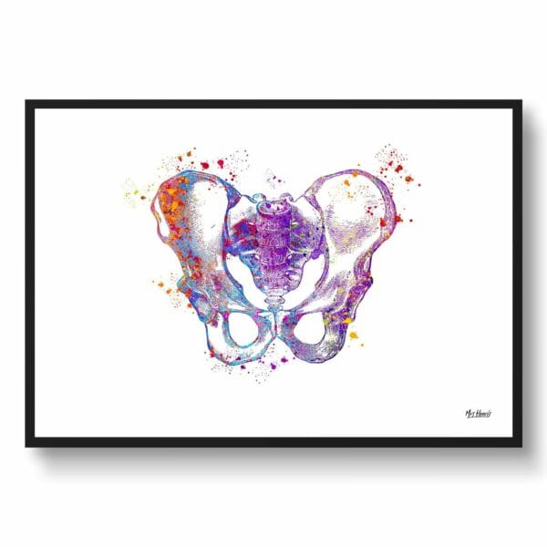 medical splash pelvis hip front view