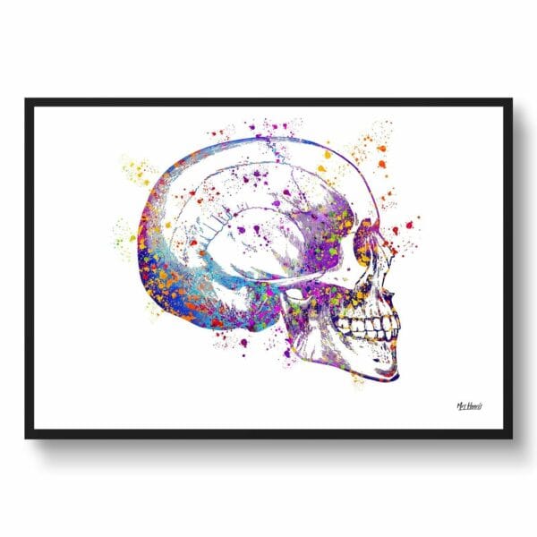 medical splash skull front view