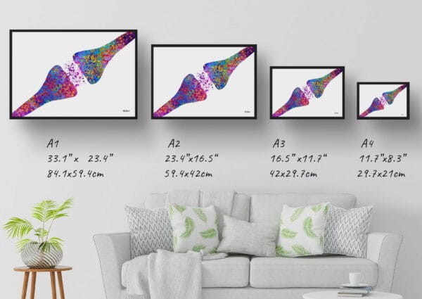 medical splash synapse print size comparison