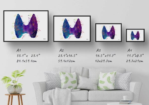 medical splash thyroid print size comparison