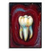 dental nocturne molar front view isolated