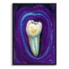 dental nocturne pre molar front view isolated